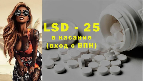 PSILOCYBIN Туринск