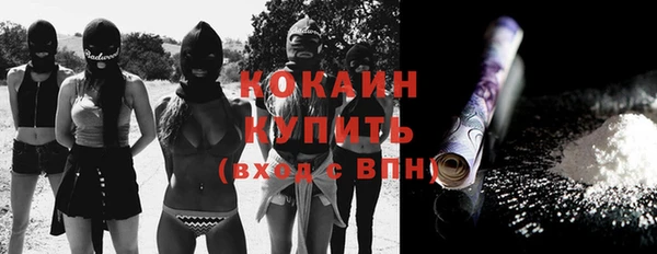 СК Елизово