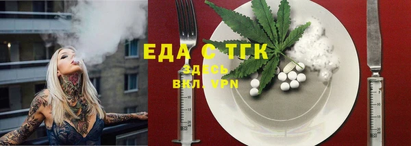 СК Елизово