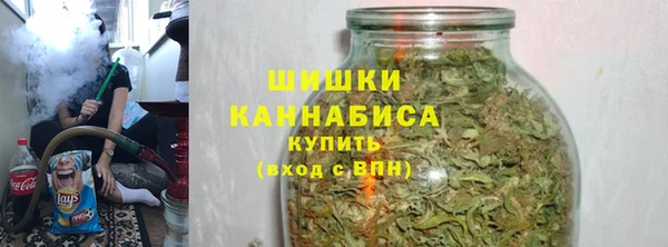 spice Снежногорск