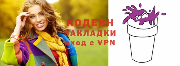 СК Елизово