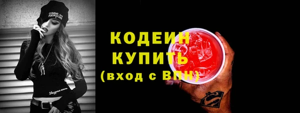 СК Елизово