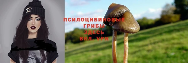2c-b Ельня