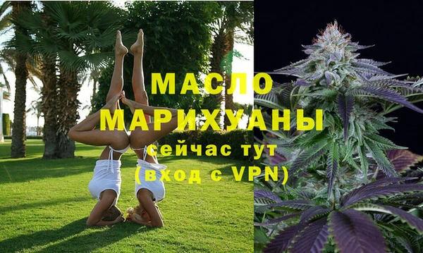 СК Елизово