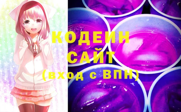 2c-b Ельня