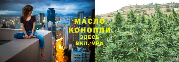 2c-b Ельня