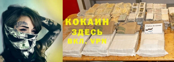СК Елизово