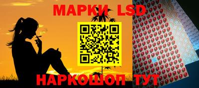 шишки Изобильный