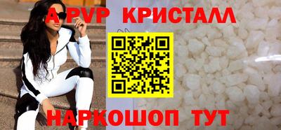 шишки Изобильный