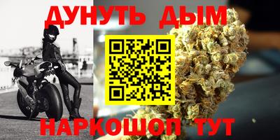 шишки Изобильный