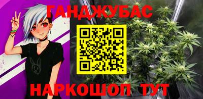 шишки Изобильный