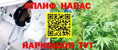 шишки Изобильный
