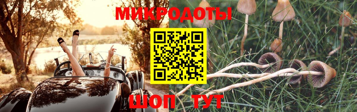 Псилоцибиновые грибы мицелий Железноводск