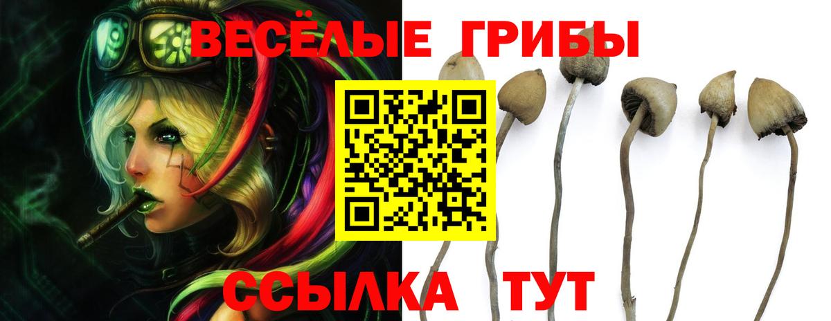 Псилоцибиновые грибы прущие грибы  Вход с VPN  Железноводск  Галлюциногенные грибы мухоморы 