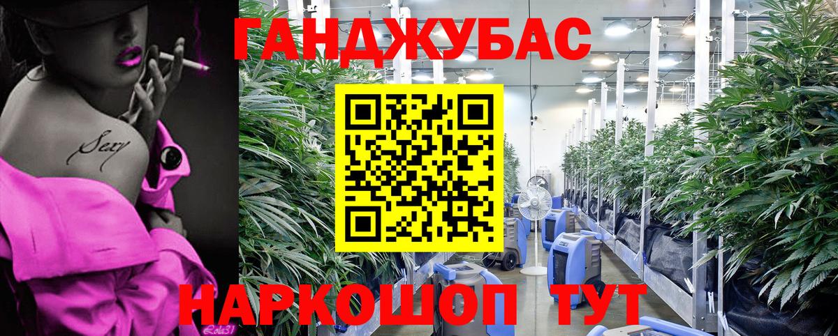 Конопля Bruce Banner  Вход с VPN  Железноводск  Бошки марихуана MAZAR  Канабис Bruce Banner 